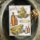 Sam Poole Clear Stamp Halloween Frogs