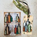 Sam Poole Clear Stamp Halloween Frogs