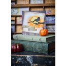 Sizzix Thinlits Die by Tim Holtz Vault Fright Night 11 Dies