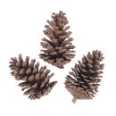 Kiefernzapfen Natur, 11-14 cm 3 Stück