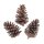 Kiefernzapfen Natur, 11-14 cm 3 Stück