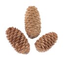 Tannzapfen Natur 3-7 cm 120g