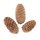 Tannzapfen Natur 3-7 cm 120g