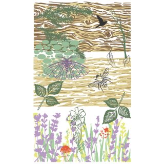 Sizzix Studio Stamps & Stencils Set Nature by Vic Hollins
