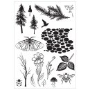 Sizzix Studio Stamps & Stencils Set Nature by Vic Hollins