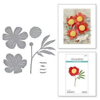 Spellbinders Woodland Tales Sentiments Etched Dies