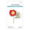 Spellbinders Woodland Tales Sentiments Etched Dies