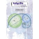 Golden Ratio A6 Rubber Stamp