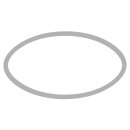 Sizzix Framelits Die w/Stamps by Stacey Park Creative Coordinations, Wall Flower (8+1pcs)