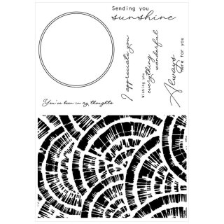 Sizzix Framelits Die w/Stamps by Stacey Park Creative Coordinations, Radiance (7+1pcs)