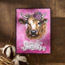 Spellbinders Clover BetterPress Plate & Die Set