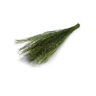 Sarahs Büschel 110cm Dekozweige gefärbt. ca 250g