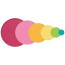 Sizzix Thinlits Die by Catherine Pooler Border Party Circles