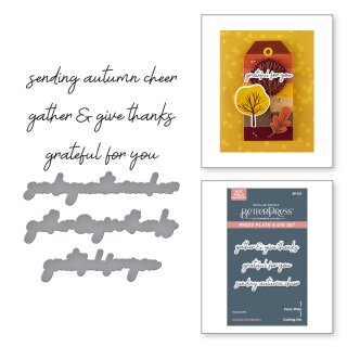 Spellbinders Autumn Archives BetterPress Plate & Die Set Autumn Sentiments