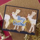 Starry Holiday 3D Embossing Folder Stars and Fronds Frame (E3D-152)