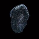 Tim Holtz Distress Texture Paste Twinkle 88,7ml