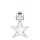 Sternflasche 40ml