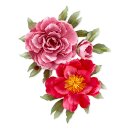 The Poets Garden Etched Dies Double & Single Peonies (S6-169)