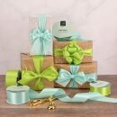 Satinband 25mm mm zu 20 Meter