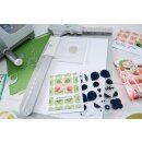 Sizzix Clear Stamps Set 15PK Print & Pattern Birds & Blooms #1 by Catherine Pooler