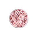 Qaudratische Kunststoffperlen 5x5mm mit rotem Herz 10gr