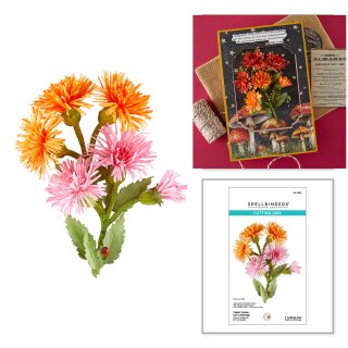 Serenity Garden Etched Dies Tassel Flower and Ladybugs by Susan Tierney-Cockburn