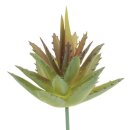 Glorex Aloe 7cm