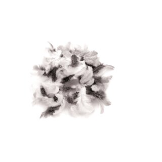 Glorex Deco-Federn 2g Weiss-Schwarz