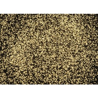 Glorex Deko-Effekt-Flitter 14ml gold