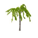 Mini-Baum Weide,  6cm