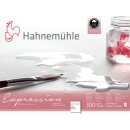 Hahnemühle Aquarellblock Expression 300g/m²...